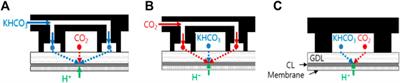 Effect of Dual-Flow Channel Structures on Electrochemical CO2 Reduction in Proton Exchange Membrane Electrolyzers